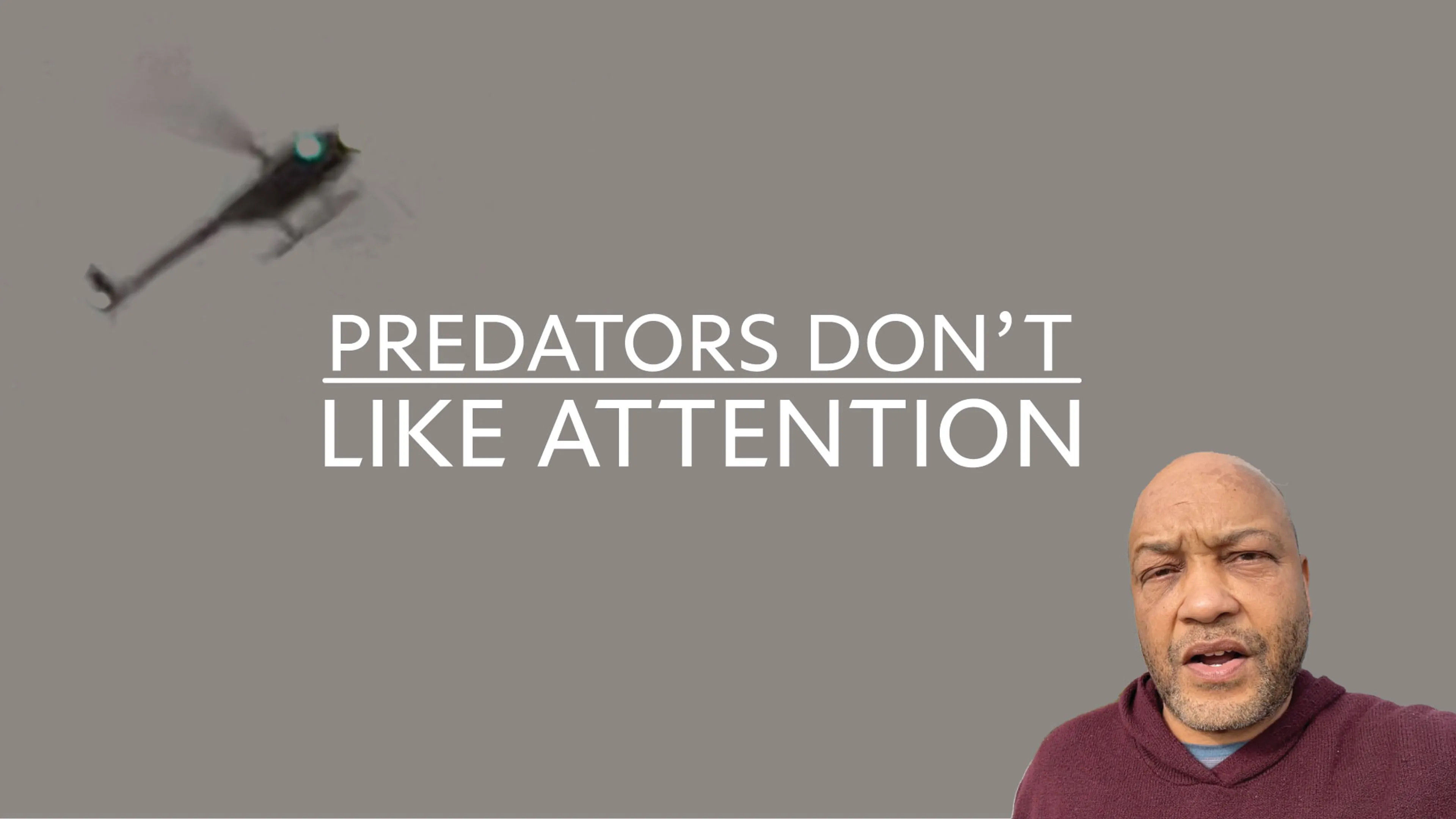 Predators Don't Like Attention poster